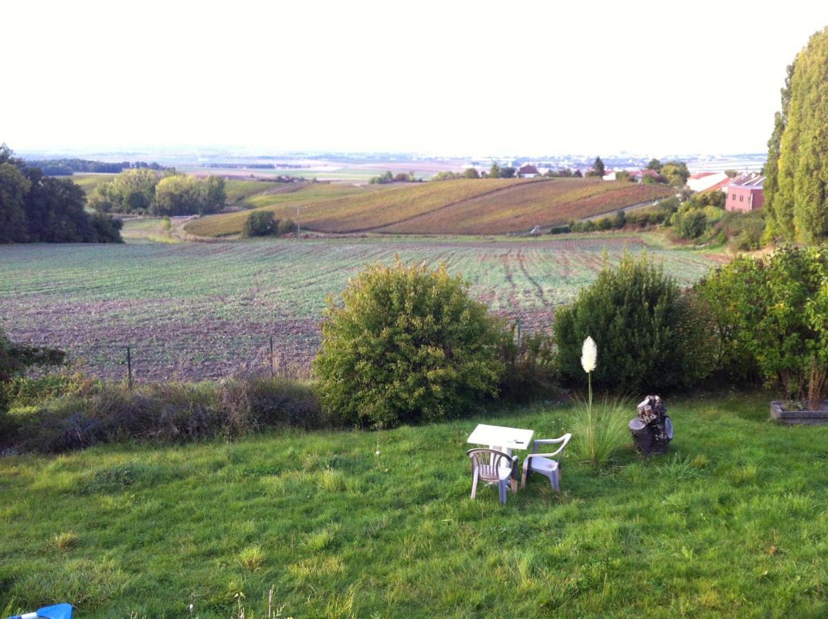 Villa Reims Epernay Champagne Vineyard Villers-Allerand Luaran gambar